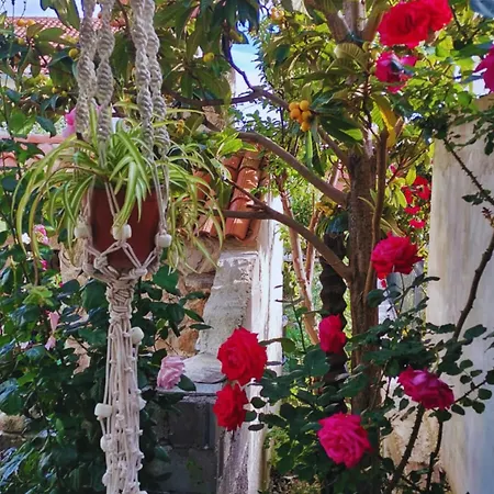 Garden Oasis Kate Apartmán Podstrana